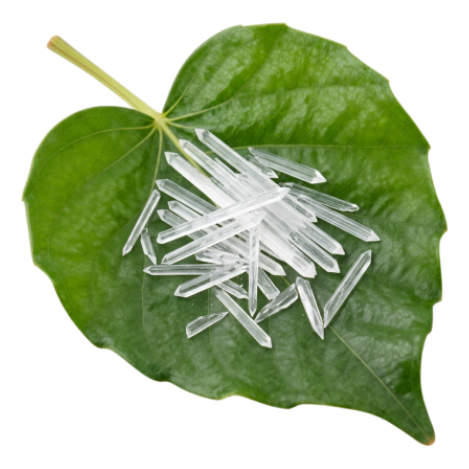 Menthol
